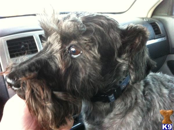 jackEdog Picture 1
